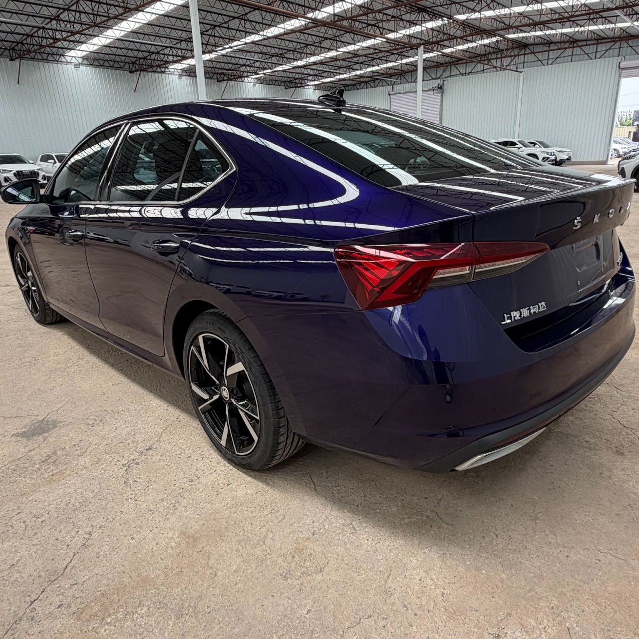 Skoda Octavia Pro — фото 6 из 9