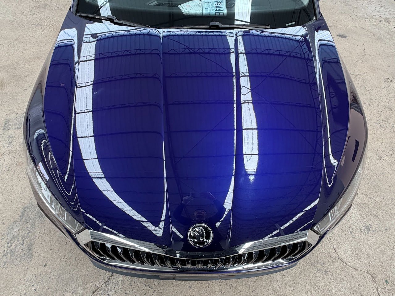 Skoda Octavia Pro — фото 7 из 9