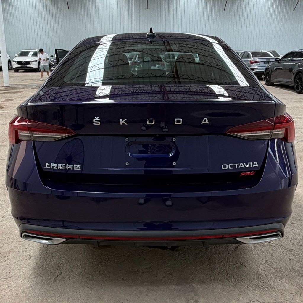 Skoda Octavia Pro — фото 5 из 9